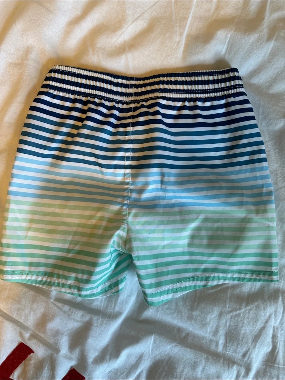 Rugged Butts Striped Gradient Boys Swim Trunks - Blue, Teal, Green